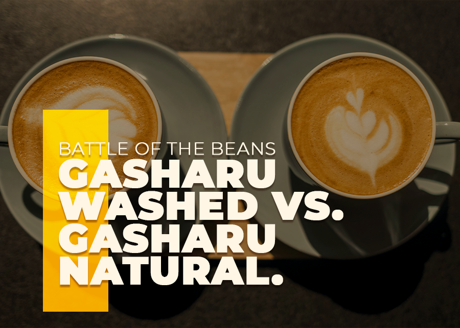 Battle of the Beans: Gasharu Washed vs. Gasharu Natural - A Matriarch Coffee Showdown