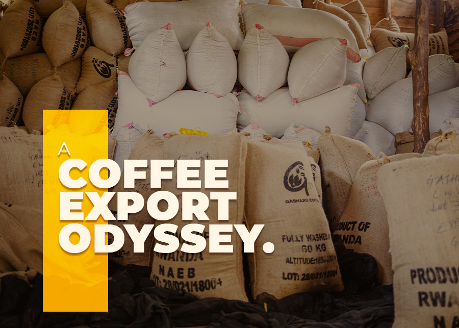 A Coffee Export Odyssey
