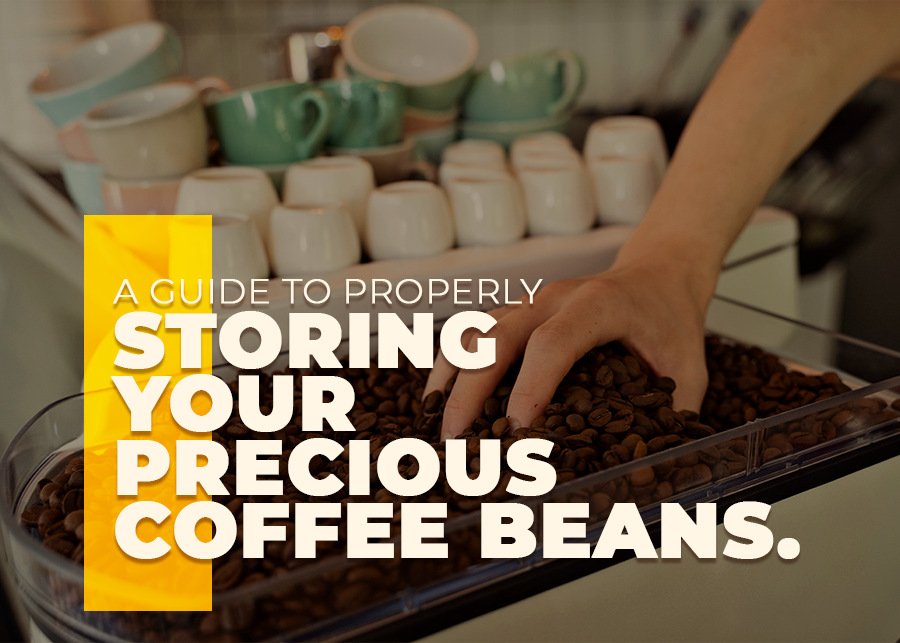 A Guide to Properly Storing Your Precious Coffee Beans