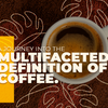 Transforming Matriarch Coffee into a Tropical Oasis