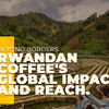 Beyond Borders: Rwandan Coffee's Global Impact and Reach