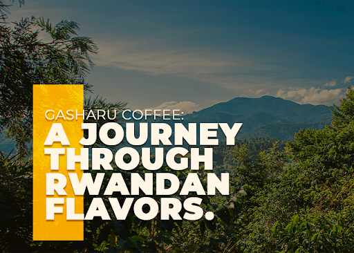 Gasharu Coffee: A Journey Through Rwandan Flavors