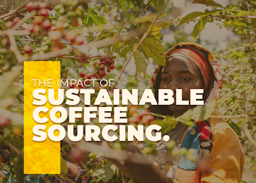 The Impact of Sustainable Coffee Sourcing
