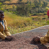 Coffee Processing Methods In Rwanda: Washed vs Natural