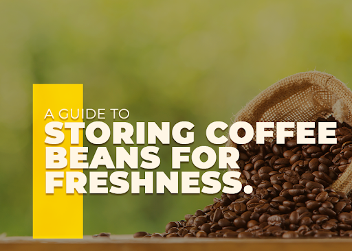 A Guide to Storing Coffee Beans for Freshness