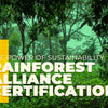 The Power of Sustainability: Matriarch Coffee and the Rainforest Alliance Certification