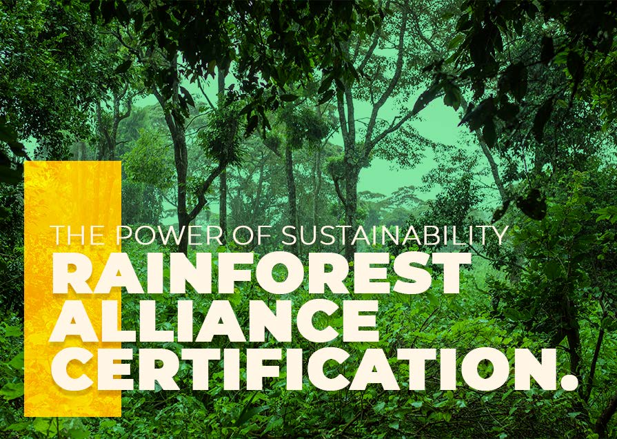 The Power of Sustainability: Matriarch Coffee and the Rainforest Alliance Certification