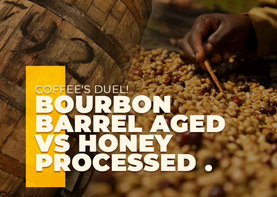 Coffee's Duel! Bourbon Barrel Aged vs Honey Processed Showdown