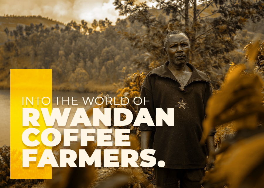 Into the world of Rwandan Coffee farmers.
