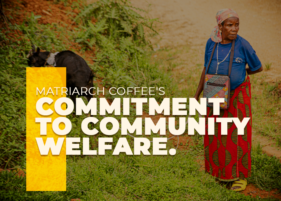 Matriarch Coffee's Commitment to Community Welfare