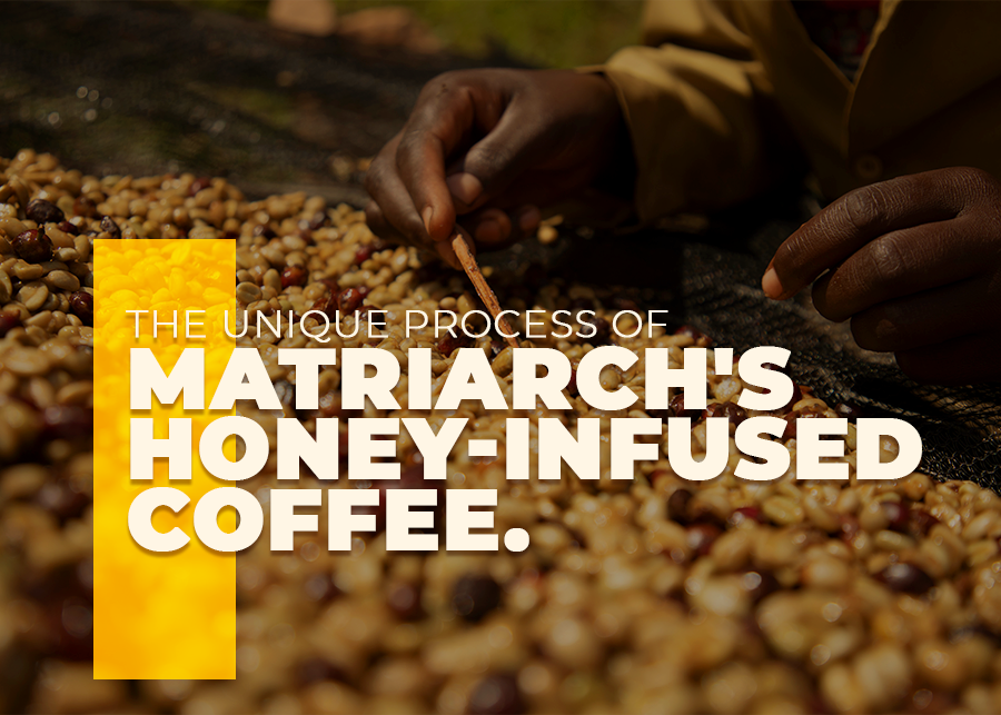 The Unique Process of Matriarch's Honey-Infused Coffee