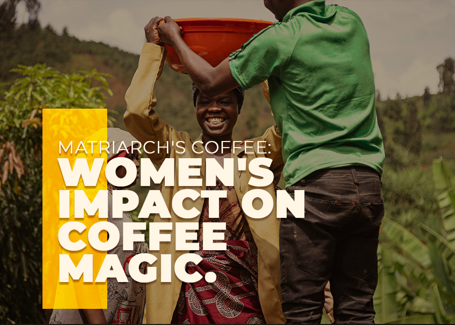Women's Impact on Matriarch's Coffee Magic