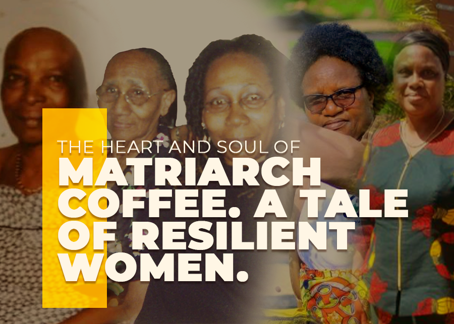 The Heart and Soul of Matriarch Coffee. A Tale of Resilient Women